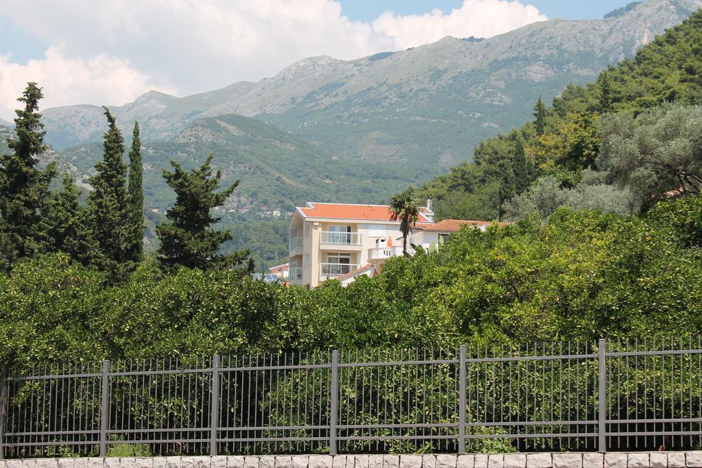 Apartman Lavanda *